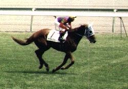 �Ԃ��n����1