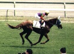 �Ԃ��n����2