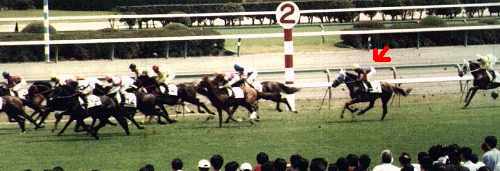 �X�^�[�g��