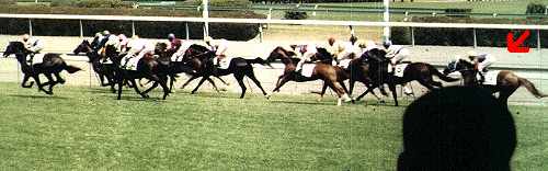 1���ڐ��ʒ���