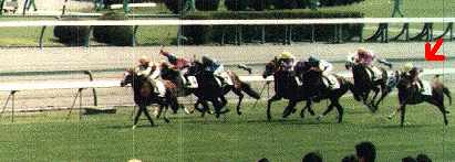 4�R�[�i�[���璼����