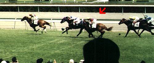 �S�[���֌�����