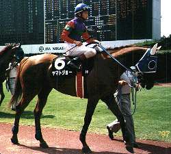 �������ʃ��}�g�W���[