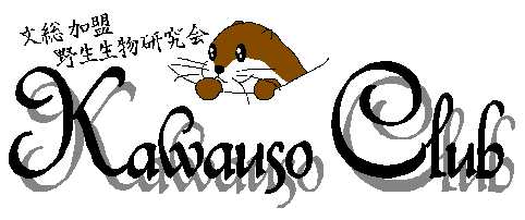 ���키���N���u