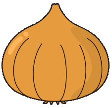 玉ねぎ 玉ねぎ