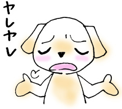 やれやれ やれやれ