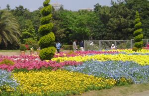 花の美術館