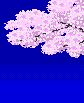 花吹雪