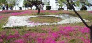 国旗花壇