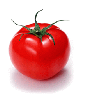 トマトは野菜ではなく果物である。それも高価な果物であった