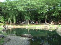 閑静な神池公園