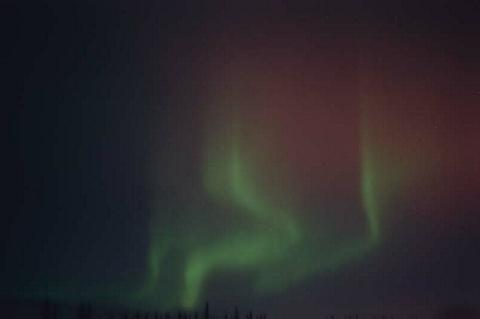 Aurora