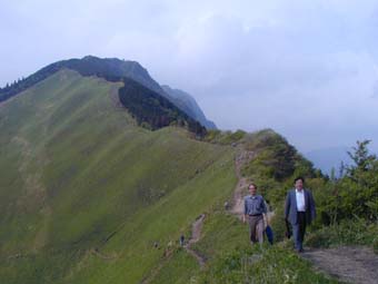 �����ꂳ��