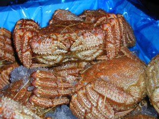 ���������k�C���ߊC�Y�̊I�Ł`���B