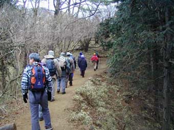 ���r�c�R�[�X�B