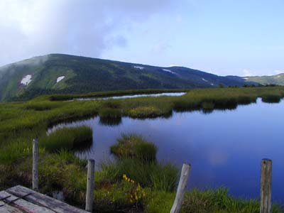池の岳より平が岳を望む