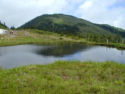肩の小屋より会津駒ケ岳