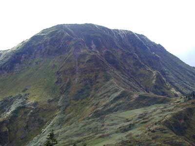 �_�y���������ƕc��R���傫�����т���B