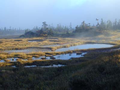 ���㎼���B