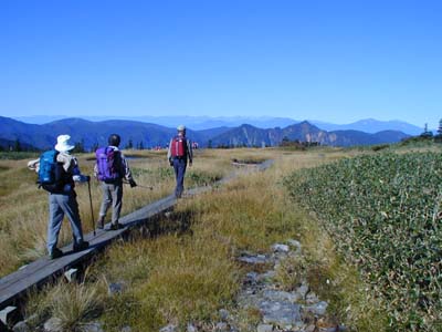 �����k�A���v�X�A�����A�ΑŁA��O�ɒ��b�R���݂Ȃ���B