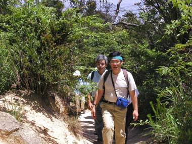 �D�c��擪��