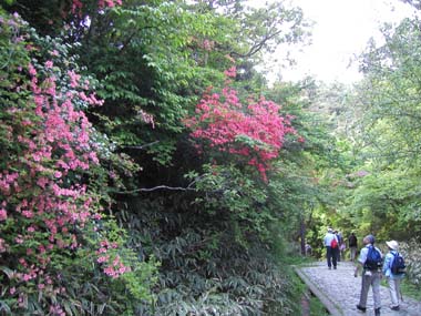 �L�n�։���