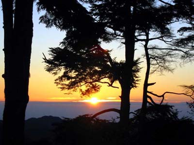 �_��R������̌䗈��