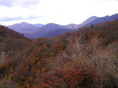 �ԗ�����g���x�A�w���ہB