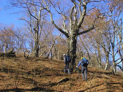 ���x�R�����ԋ߁B