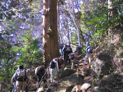 �P�[�u���̃g���l���ォ��͐��̋��؂������B