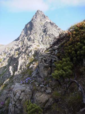 ����̑��I