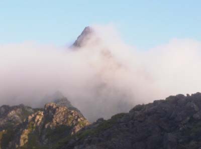 �K�X�������