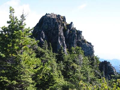 ���M����t��