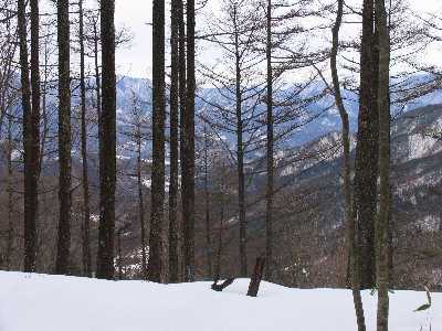 �щz���ɎO�����ʂ̎R��������