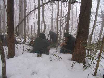 �ł���̒��̐H���͌��\������