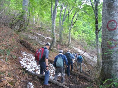 �u�i�ёт��s��