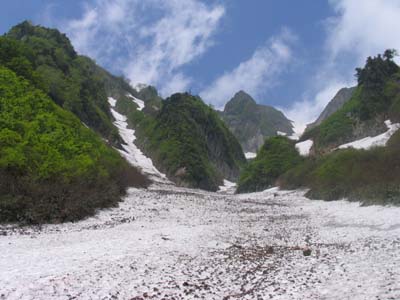 �r���򂩂�J���R��]��