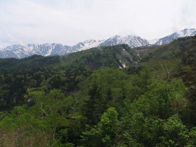 �E�[�F���n�x�A���[�F������