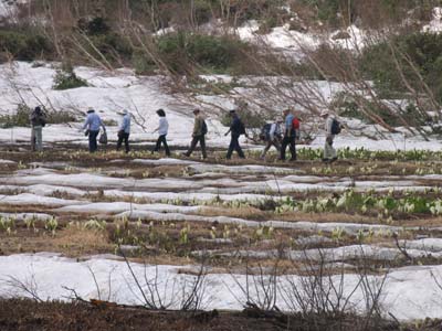 ���m�Ԏ������s��