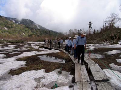 ���^�X�Q�����B