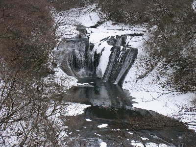 �����̑��]��