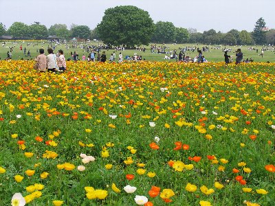 �Ƃ������L���݂�Ȃ̌�����