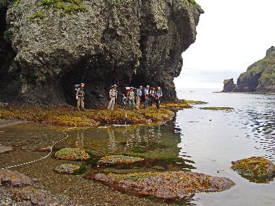 ���E���E�V�k��