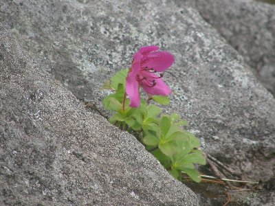 �G�]�c�c�W