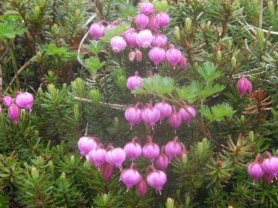 �G�]�m�c�K�U�N��