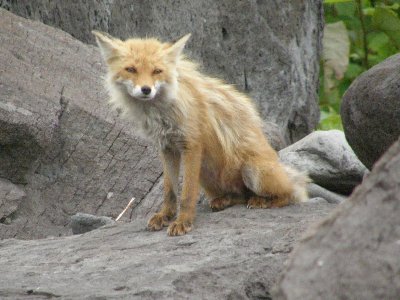 �L�^�L�c�l