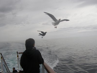 �J�����ƃJ���X