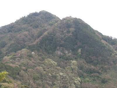 �h���A���h���R�B�R�����`���z���B