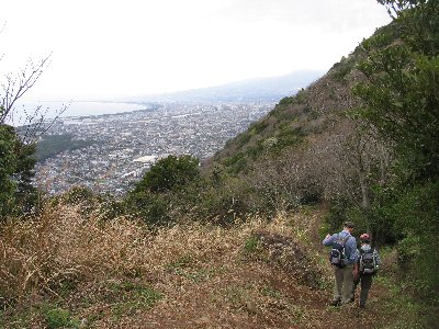 �S�͏��Í`�ɔ��ł����l�A��B