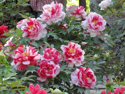 ���O�����J